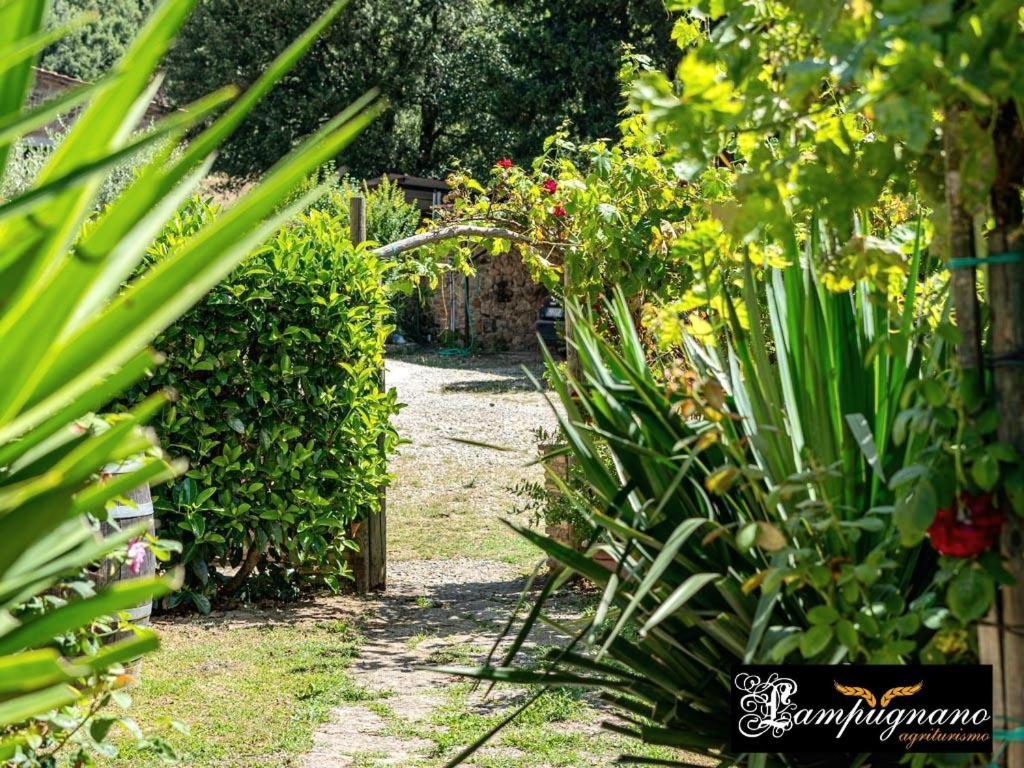 Agriturismo Lampugnano 帕贾尼克 外观 照片